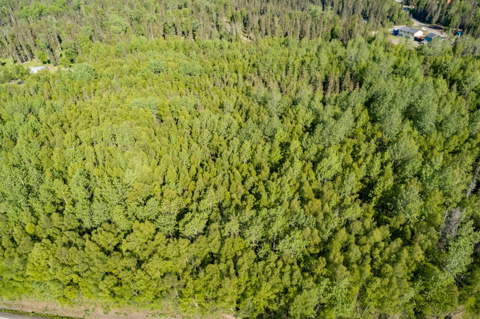 DJI_0667