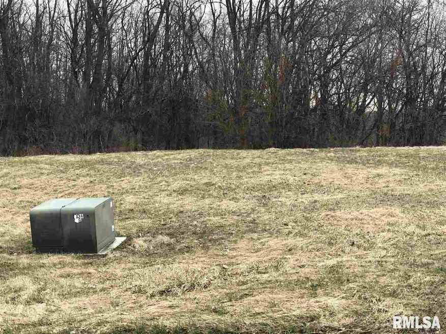 4425 N Michigan Ave, Davenport, IA 52806 - photo 1