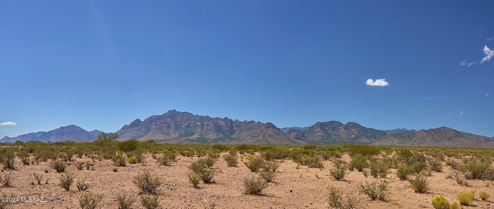 Chiricahuas from Property Center