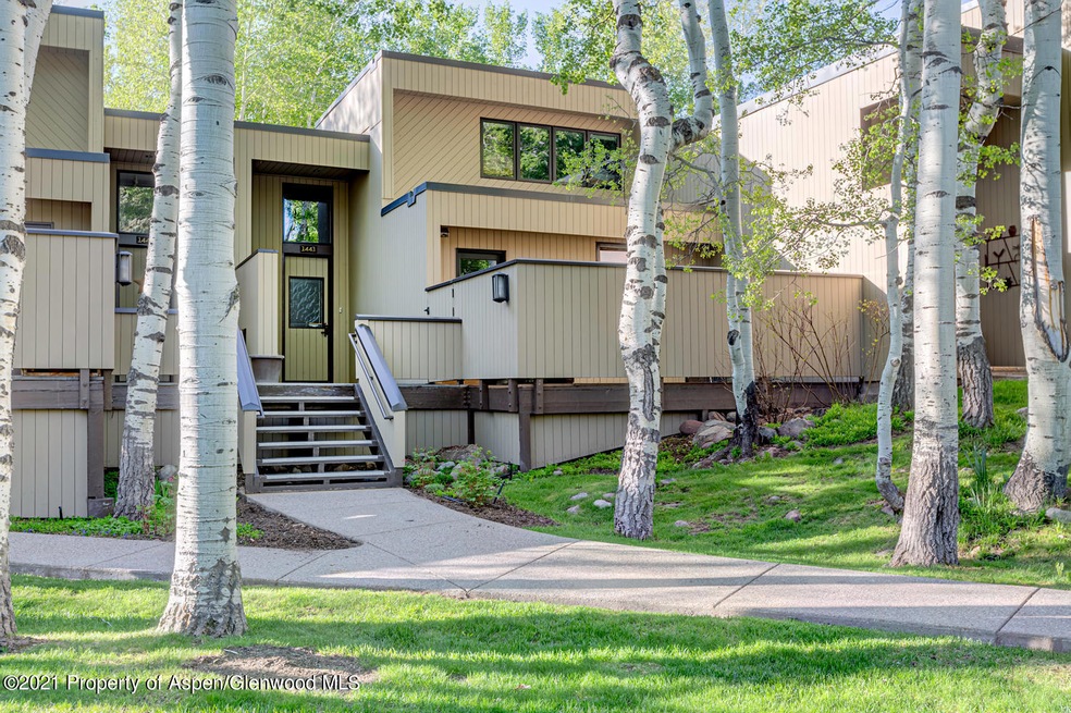 1441 Crystal Lake Rd unit 2, Aspen, CO 81611 - photo 1