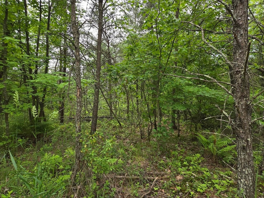 10 Acres 25th St, Necedah, WI 54646 - photo 1