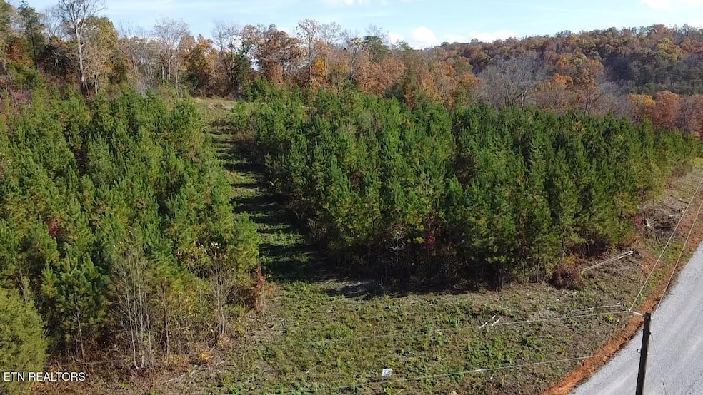 2025-11-07-13-55-50-982