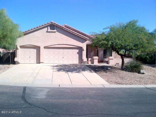 Phoenix-20141108-23244