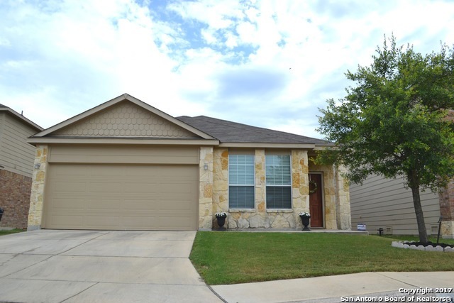 12006 Amber Vista, San Antonio, TX 78254 - photo 1