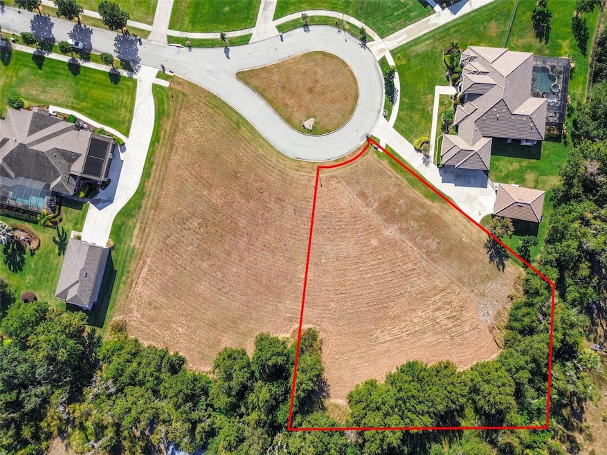 420 Hawk Talon Dr, Lithia, FL 33547 - photo 1