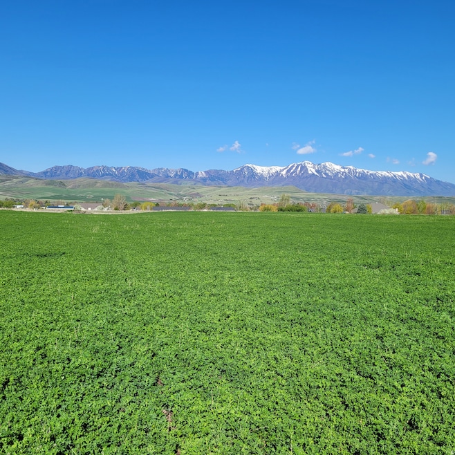 377 E 8900 S, Paradise, UT 84328 - photo 1