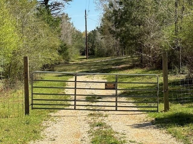 42 Tom Warner Rd, Tylertown, MS 39667 - photo 1