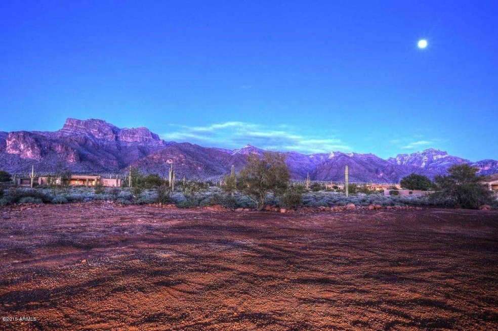 Night-Backyard View