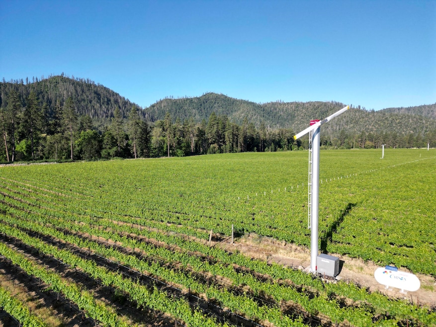 Ellis Vineyard