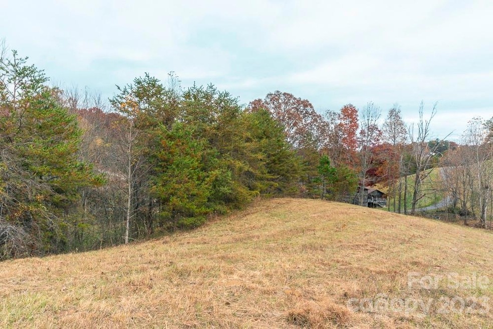 00000 Tweed Rd unit 1, Leicester, NC 28748 - photo 1