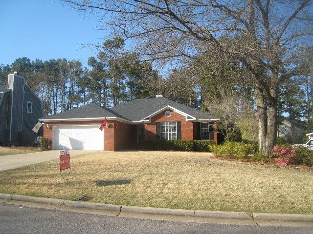 Main View