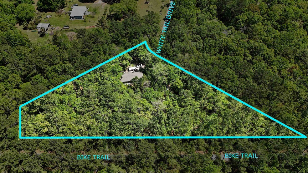 34 White Tail Dr, Crawfordville, FL 32327 - photo 1