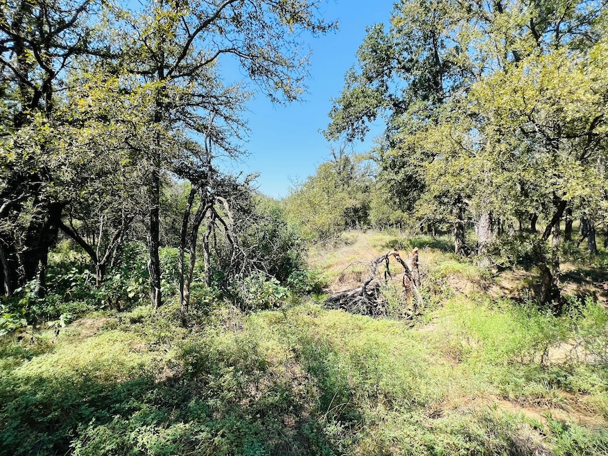 Tbd Interstate 20, Santo, TX 76472 - photo 1