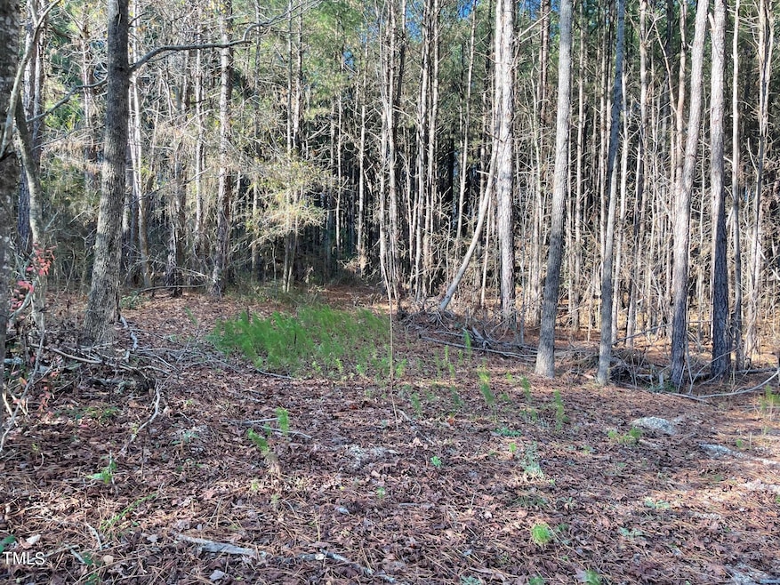 0 Turlington Rd unit 10127617, Dunn, NC 28334 - photo 1