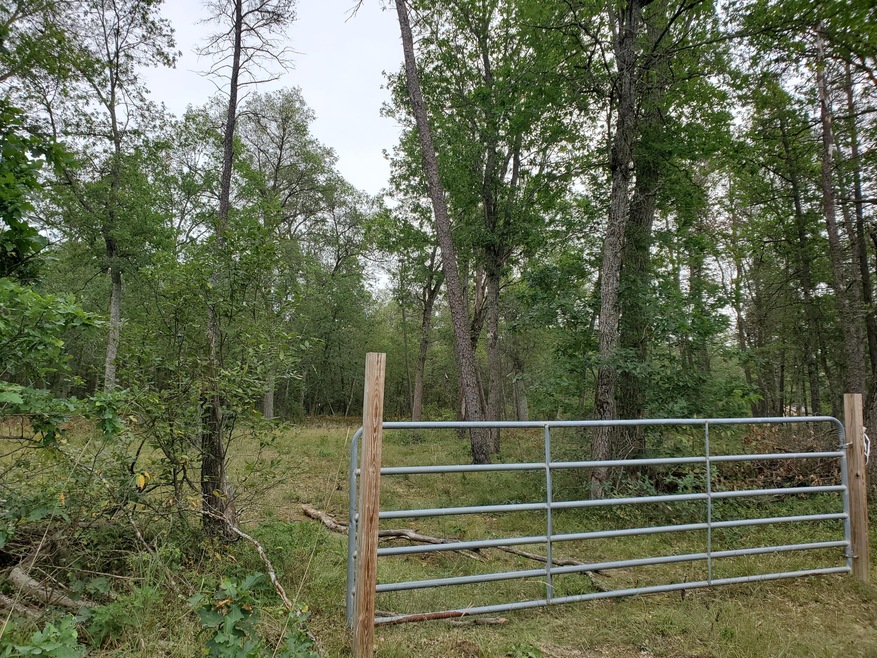 PAR B Peacock Trail, Baldwin, MI 49304 - photo 1