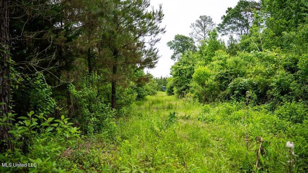 7400 Amon Hill Rd, Bastrop, LA 71220 - photo 1