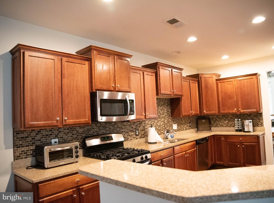 22166 Breitling Terrace, Broadlands, VA 20148 - photo 1