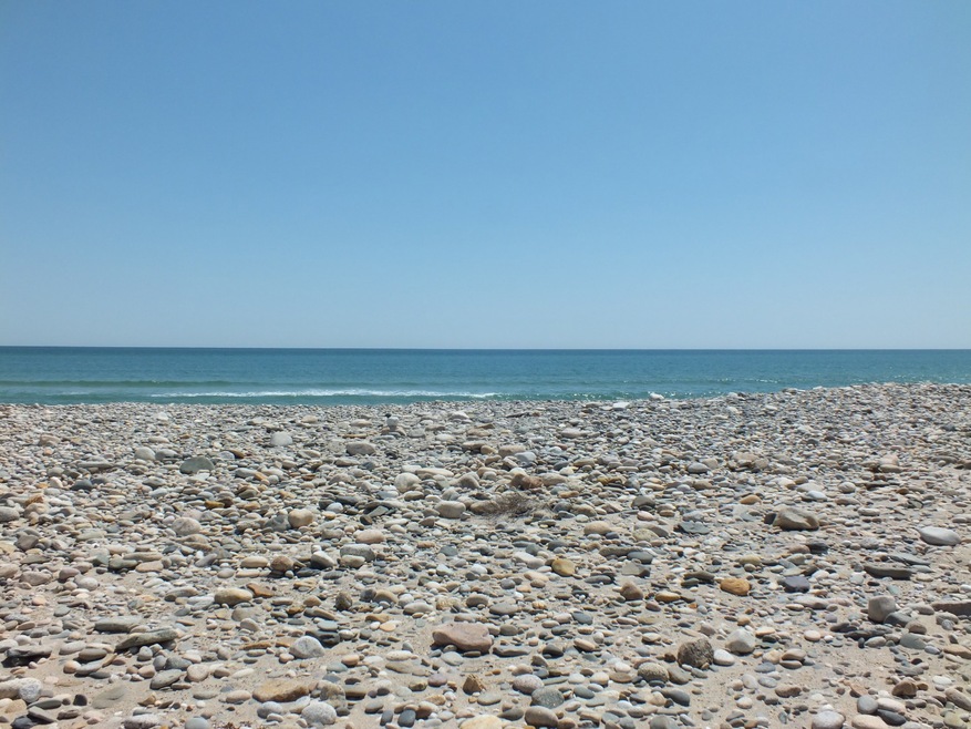 00 Eliot Ave unit 17, Chilmark, MA 02535 - photo 1