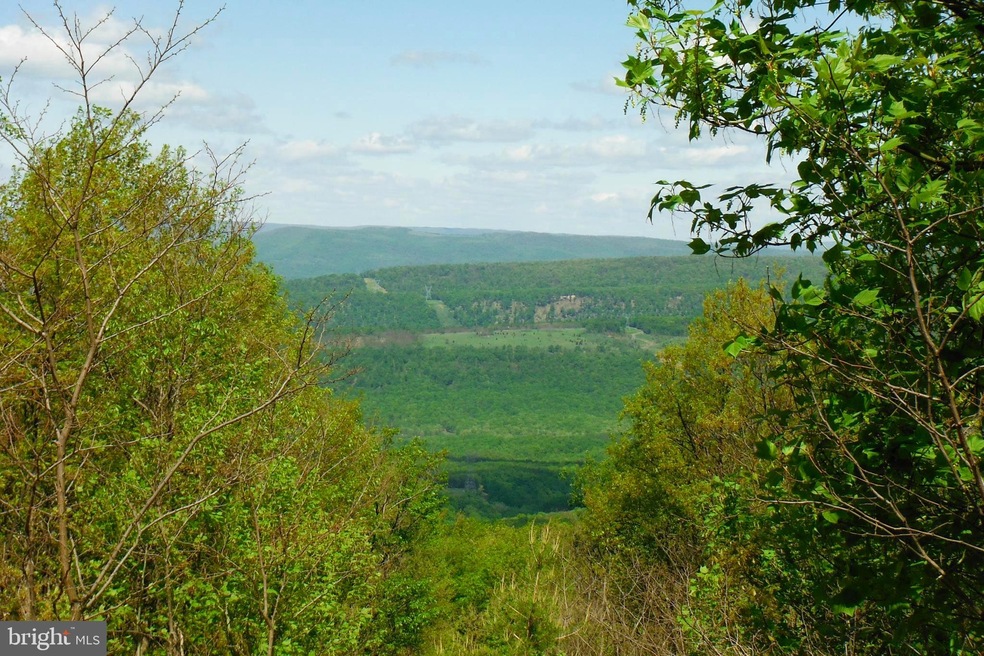 0 Nathaniel Mountain Rd unit WVHD106070, Moorefield, WV 26836 - photo 1