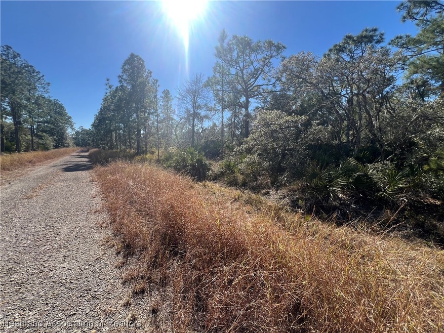 646 Jonathan St, Lake Placid, FL 33852 - photo 1