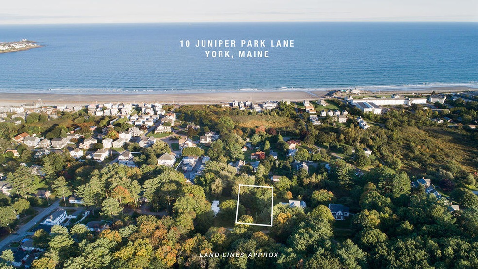 10 Juniper Park Ln, York