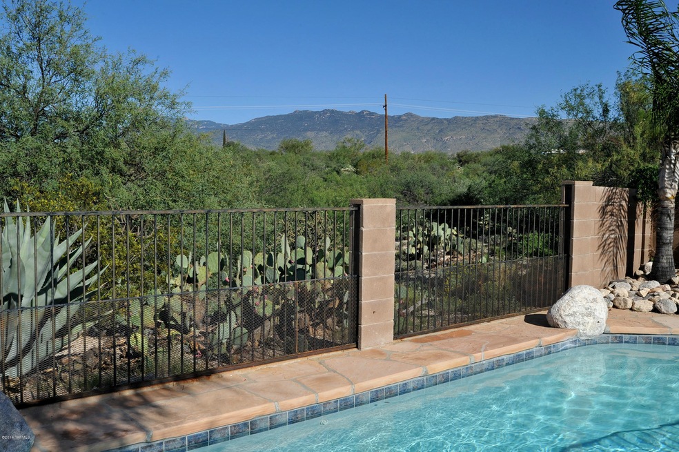 Rincon Mountain Views
