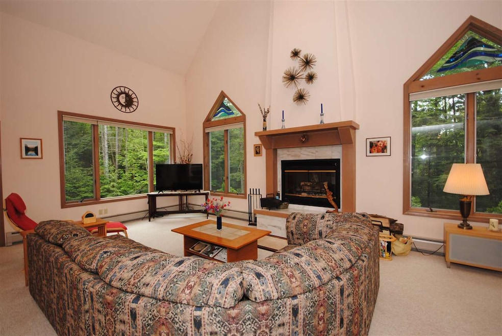 265 S Ryder Pond Rd, Whitingham, VT 05361 - photo 1