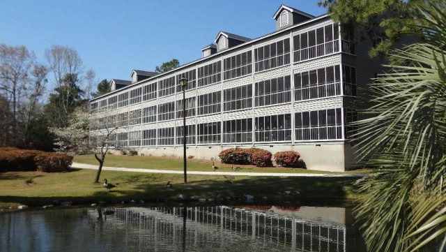 Main View