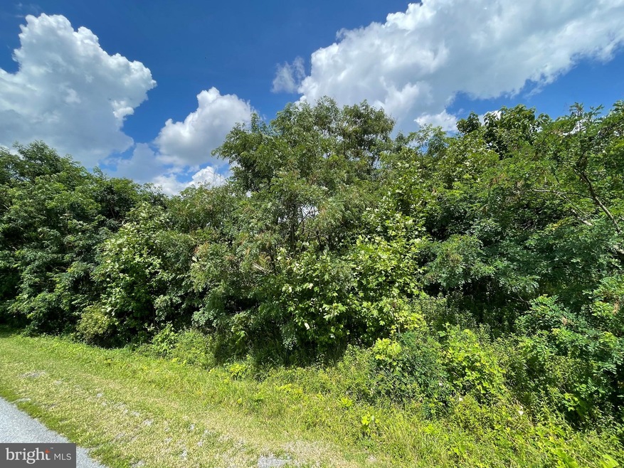 0 Freezeland View Ln unit VAWR2000224, Linden, VA 22642 - photo 1