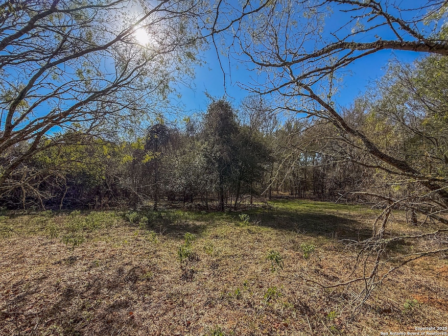 000 TRACT 3 & 5 Farm To Market Road 539, La Vernia, TX 78121 - photo 1