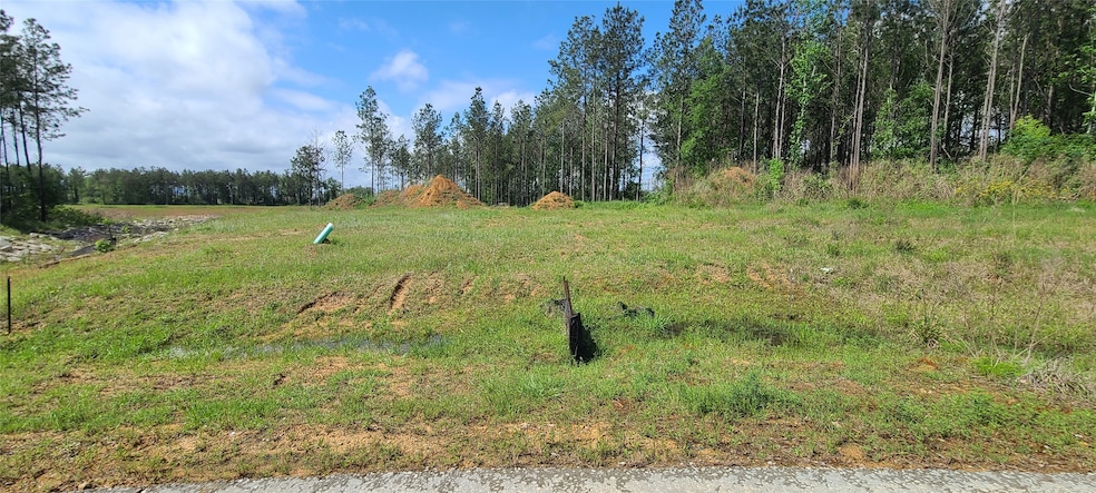 8056 Road 5895, Cleveland, TX 77327 - photo 1