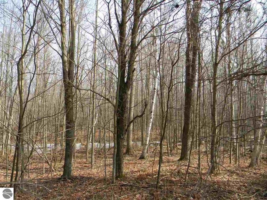 N/A Denstedt Rd, Hale, MI 48739 - photo 1