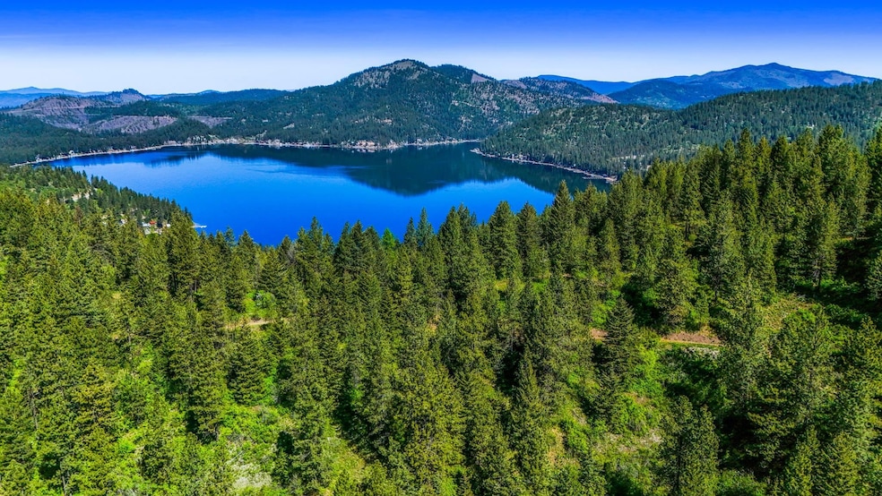 NNA E Deer Lake Way, Loon Lake, WA 99148 - photo 1