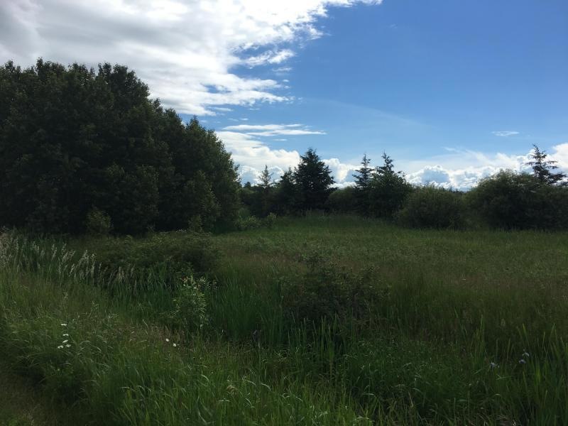 10 Acre Home Building Site