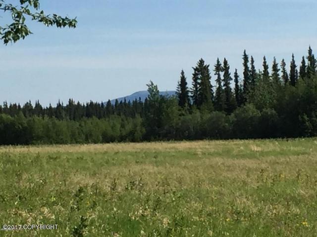 Tanana1