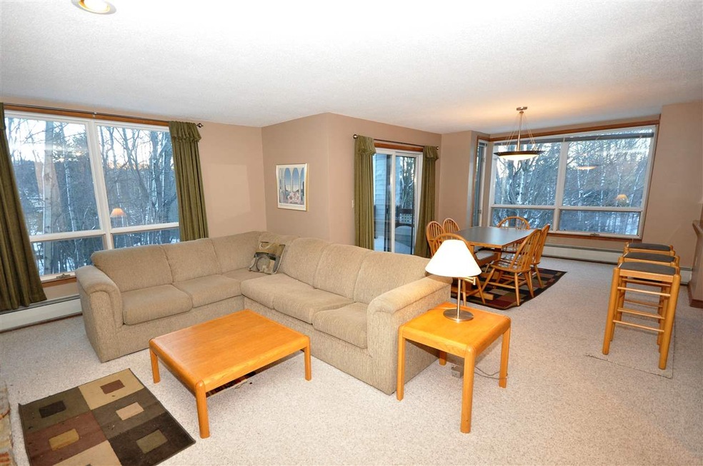 8 Northbrook Village Rd unit C21, Dover, VT 05356 - photo 1