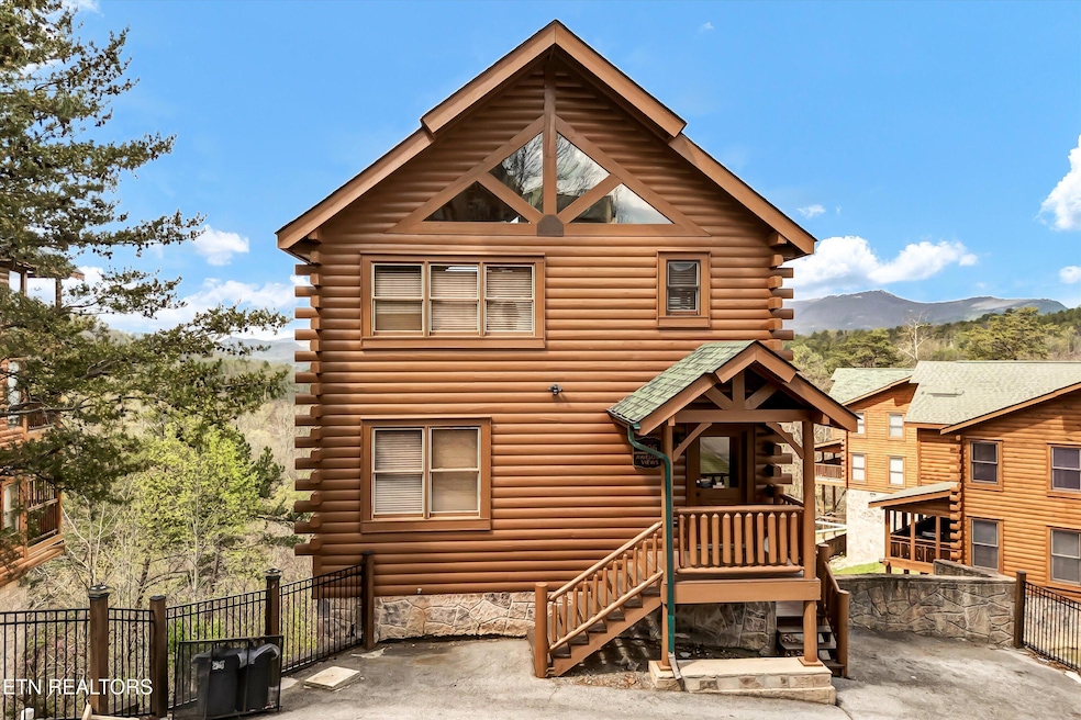 02-906 Black Bear Cub Way-2