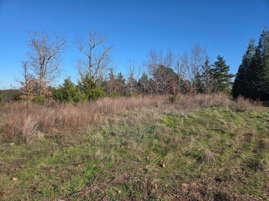 113 Black Forest Ln, Branson West, MO 65737 - photo 1