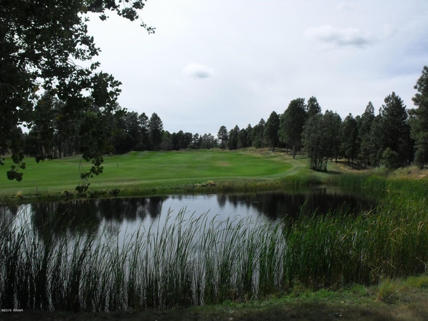 Golf Course & Pond