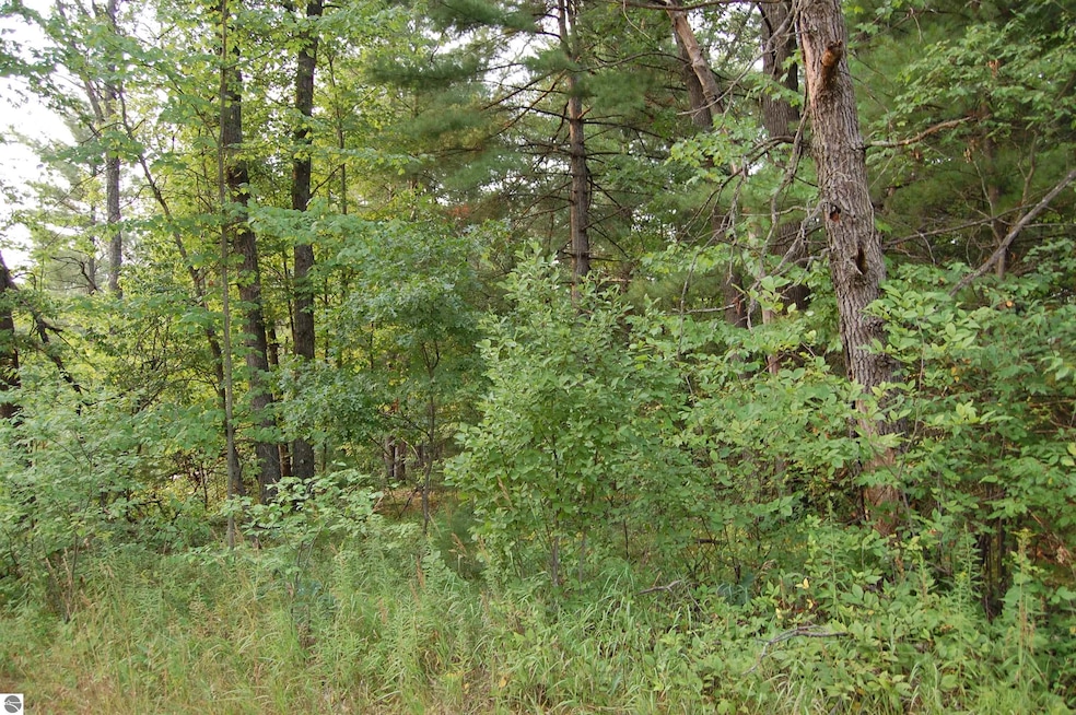 LOT 21-22 George St unit 21-22, Skidway Lake, MI 48756 - photo 1