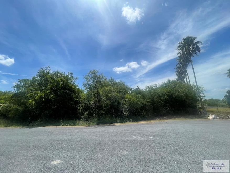 0 Island Estates St unit 29767184, San Benito, TX 78586 - photo 1