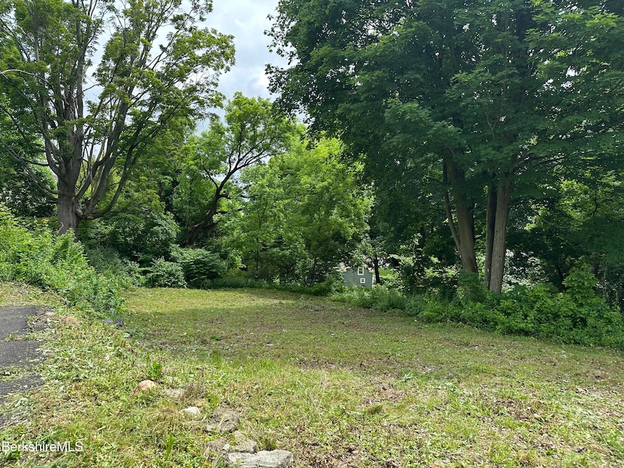 33 Circular Ave, Pittsfield, MA 01201 - photo 1