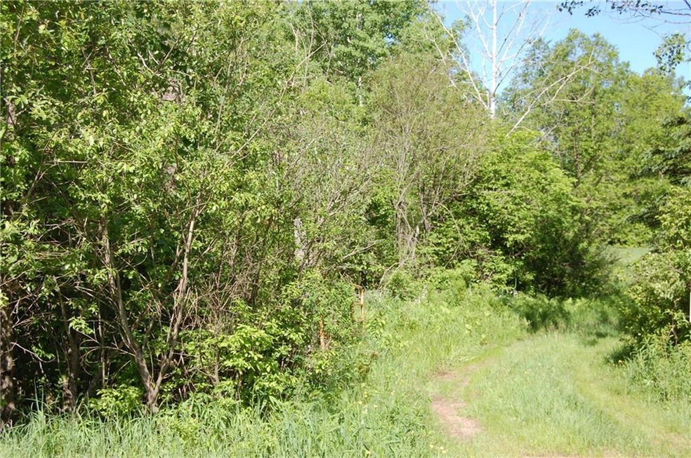 0 28th St unit 1538645, Sumner Township, WI 54822 - photo 1