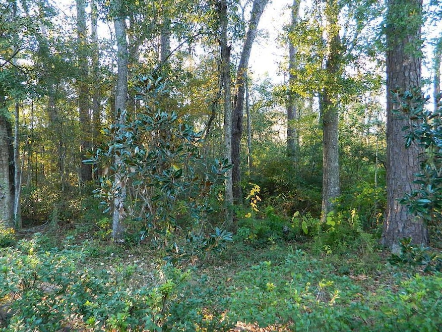 0 Old Landing Rd, Covington, LA 70433 - photo 1