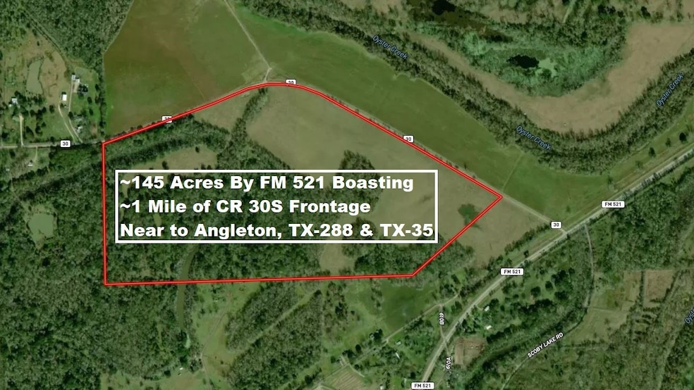 0 Brazoria County Rd unit 54196158, Angleton, TX 77515 - photo 1