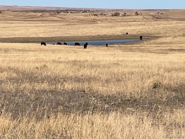 TBD Highway 24, Calhan, CO 80808 - photo 1