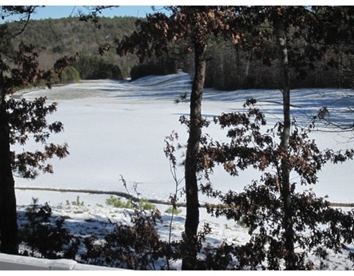 30 Dillingham Way unit 30, Plymouth, MA 02360 - photo 1