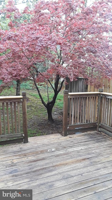 14006 Chestnut Ct, Laurel, MD 20707 - photo 1