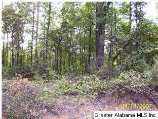 12 acres mostly pasture land, view on back toward 