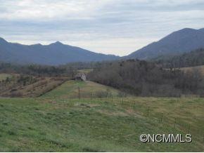 20 & 24 Pearl Mountain Ridge, Leicester, NC 28748 - photo 1